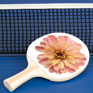 Pala De Ping Pong Naturaleza de las flores florales de Zinnia Foto d