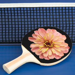 Pala De Ping Pong Naturaleza de las flores florales de Zinnia Foto d