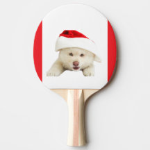 Navidades educados Kitten & Heart Line Art