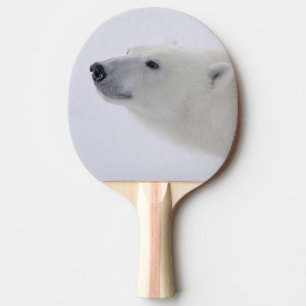 Pala De Ping Pong Norteamérica, Canadá, Manitoba, Churchill. 6