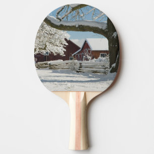 Pala De Ping Pong Norteamérica, los E.E.U.U., WA, isla de Whidbey.