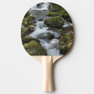 Pala De Ping Pong Nuevo Brunswick, Canadá. Dickson Falls en Fundy