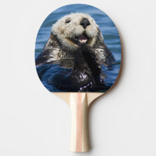 Pala De Ping Pong Nutria marina de California Enhydra lutris) se arr