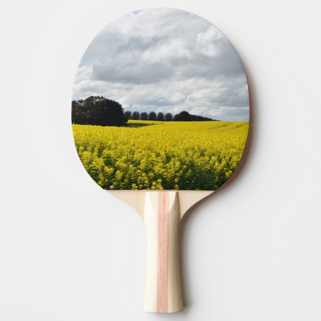 Pala De Ping Pong Olas doradas de Streatham (Anverso)