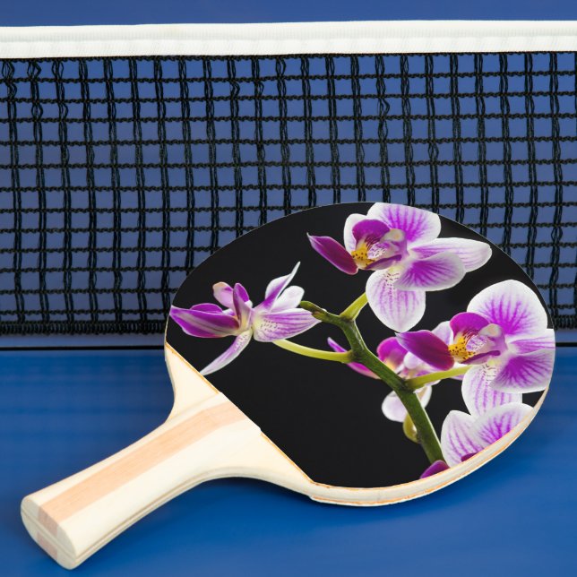 Pala De Ping Pong Orquídea blanca y púrpura (in situ)