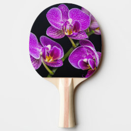 Pala De Ping Pong Orquídea púrpura
