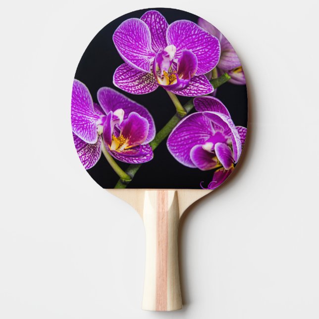 Pala De Ping Pong Orquídea púrpura (Reverso)