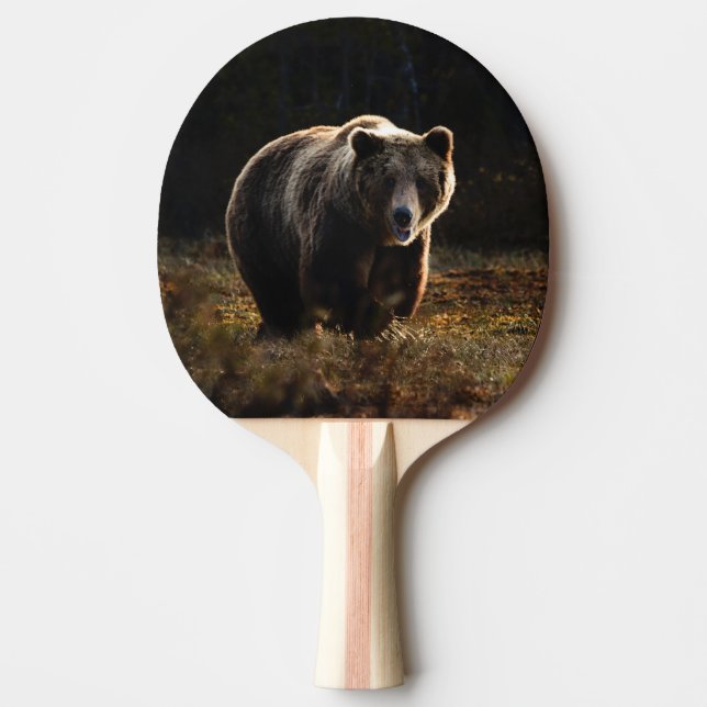 Pala De Ping Pong Oso (Anverso)