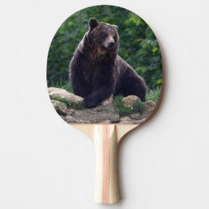 Pala De Ping Pong Oso de Brown