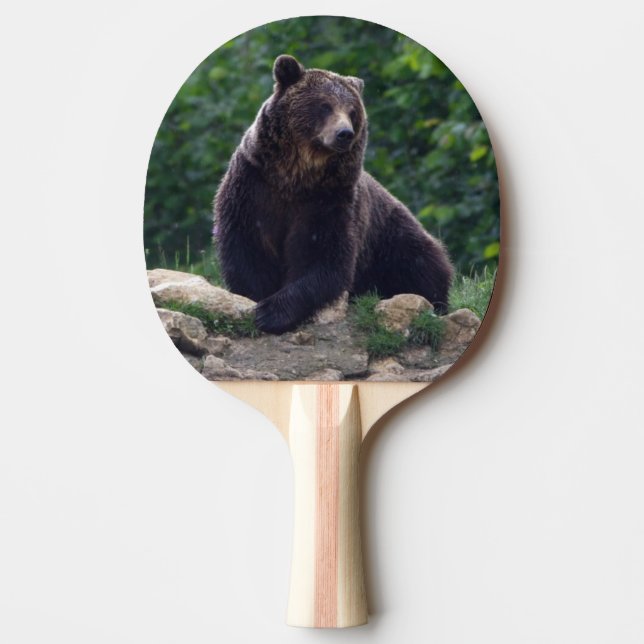 Pala De Ping Pong Oso de Brown (Anverso)
