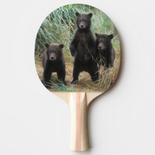 Pala De Ping Pong oso pardo, Ursus arctos, oso grizzly, Ursus 7 2