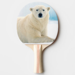 Pala De Ping Pong Oso polar adulto gran verraco en el hielo de veran