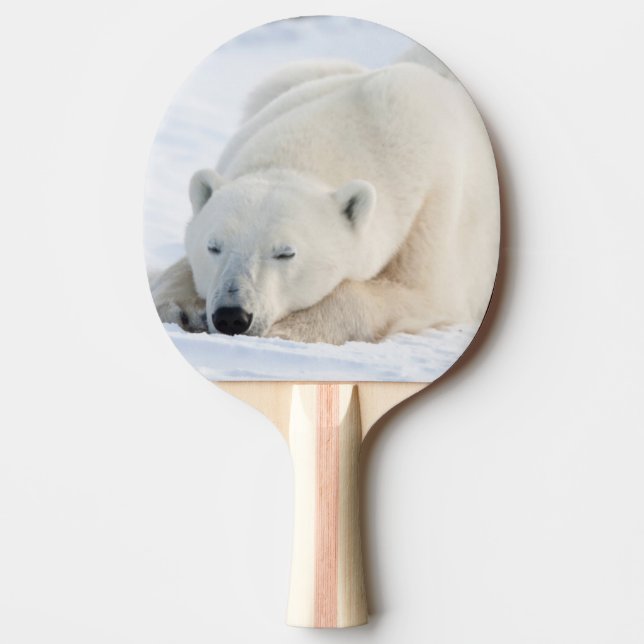 Pala De Ping Pong Oso polar en invierno (Anverso)