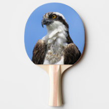 Osprey - Ping Pong Paddle