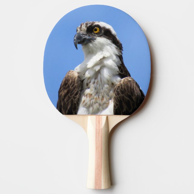 Pala De Ping Pong Osprey - Ping Pong Paddle (Reverso)