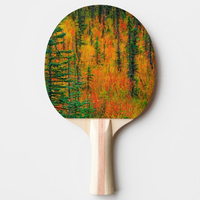 Pala De Ping Pong Otoño en una pradera (Anverso)