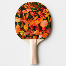 Pala De Ping Pong Otoño Sale Textura Ping Pong Paddle