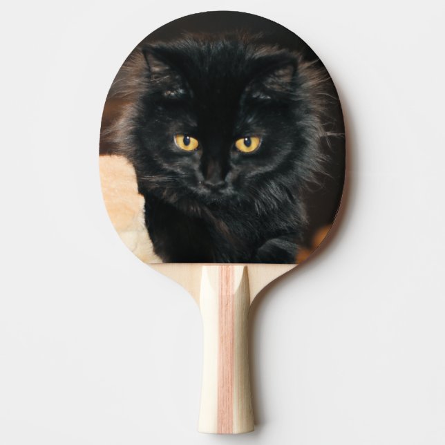 Pala De Ping Pong Owllette (Anverso)