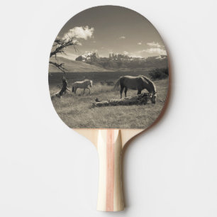 Pala De Ping Pong Paisaje con caballos