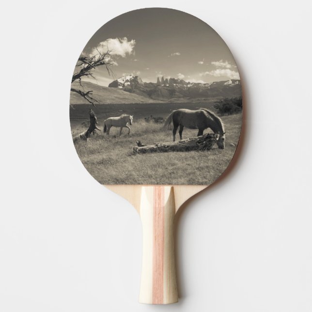 Pala De Ping Pong Paisaje con caballos (Anverso)