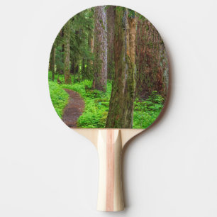 Pala De Ping Pong Paisaje de bosque maduro