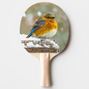 Pala De Ping Pong Pájaro azul oriental en nieve - Fotografía origina