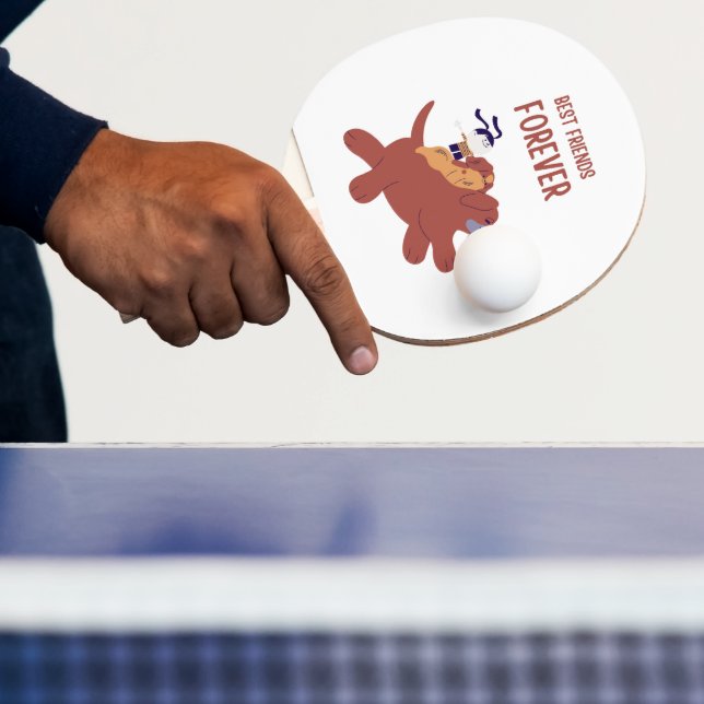 Pala De Ping Pong Paleta de Ping Pong (in situ)