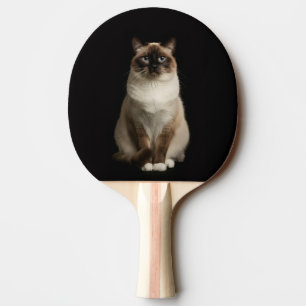 Pala De Ping Pong Paleta de ping pong Black 4 Luxe, gato birmano