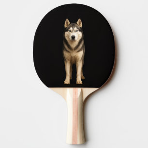 Pala De Ping Pong Paleta de ping pong Black 4 Luxe, Husky Elite Hela