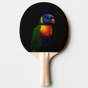 Pala De Ping Pong Paleta de ping pong Black 4 Luxe, Lorikeet Parrot