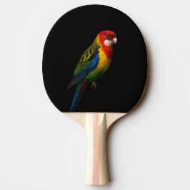 Pala De Ping Pong Paleta de ping pong Black 4 Luxe, Rosella Oriental