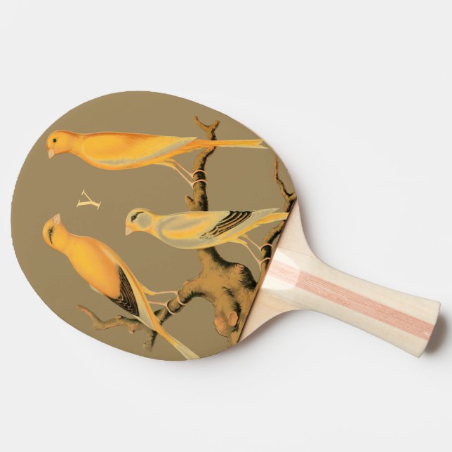 Pala De Ping Pong Paleta de Ping Pong – Diseño de Canarios de Yorksh (Lateral)