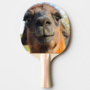 Pala De Ping Pong Paleta del ping-pong de la alpaca