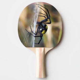 Pala De Ping Pong Paleta del ping-pong de la araña de jardín del
