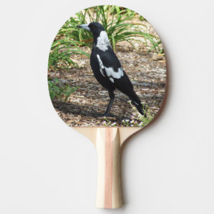 Pala De Ping Pong Paleta del ping-pong de la urraca australiana