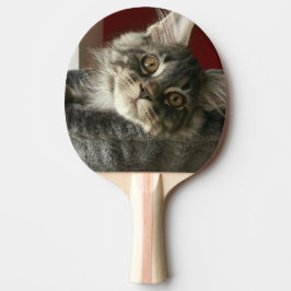 Pala De Ping Pong Paleta del ping-pong del gatito del Coon de Maine