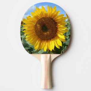 Pala De Ping Pong Paleta del ping-pong del girasol
