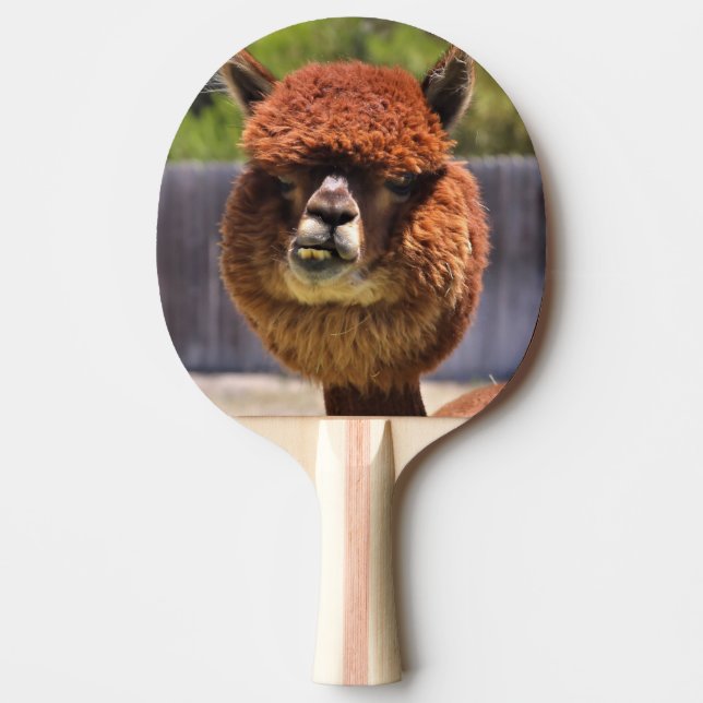 Pala De Ping Pong Paleta divertida del ping-pong de la alpaca (Anverso)