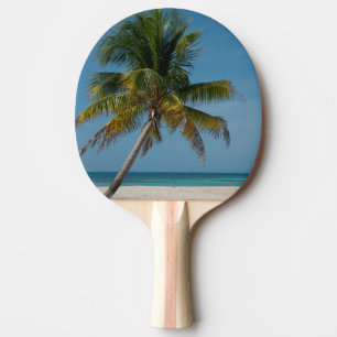 Pala De Ping Pong Palmera y playa de arena blanca 2