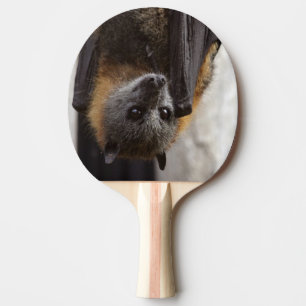 Pala De Ping Pong Palo australiano