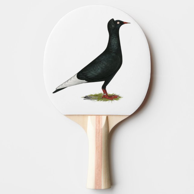 Pala De Ping Pong Paloma de capucha negra voladora (Anverso)
