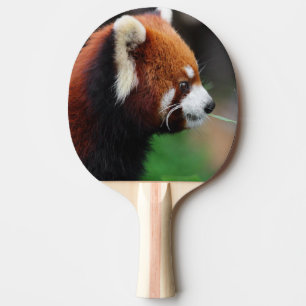 Pala De Ping Pong Panda roja