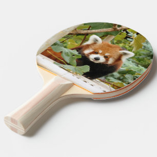 Pala De Ping Pong Panda rojo