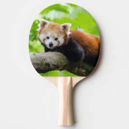 Pala De Ping Pong Panda rojo
