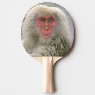 Pala De Ping Pong Pareja de monos de nieve, macaco japonés,