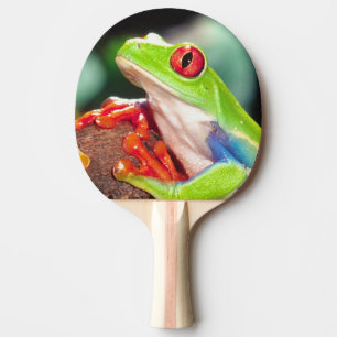 Pala De Ping Pong Pareja de ranas de ojos rojos, Agalychinis callidr
