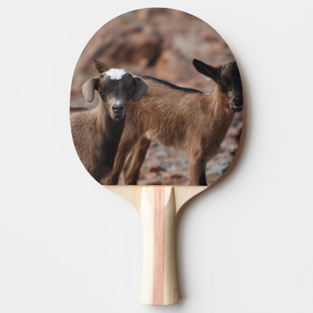 Pala De Ping Pong Pares de cabras (Anverso)
