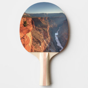 Pala De Ping Pong Parque nacional del Gran Cañón, los E.E.U.U.