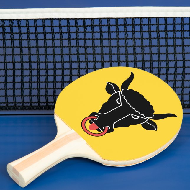 Pala De Ping Pong Patriotic, ping pong paddle with Flag of Uri (in situ)
