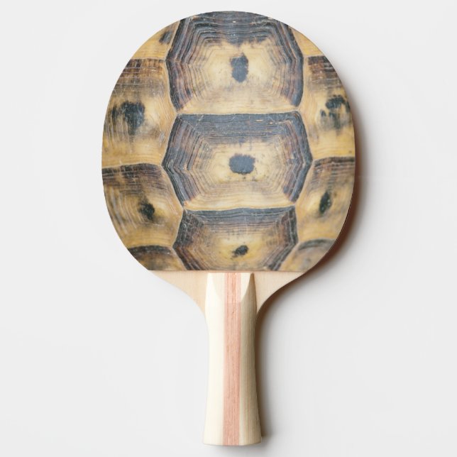 Pala De Ping Pong Patrón de shell de tortuga (Reverso)